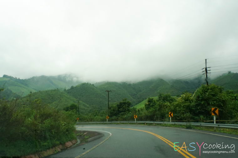 ถนนลอยฟ้า ดอยภูคา05.jpg