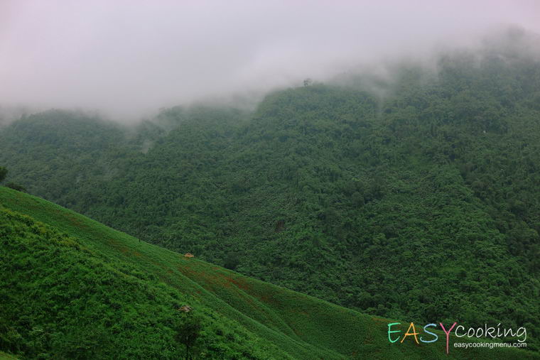 ถนนลอยฟ้า ดอยภูคา06.jpg