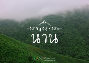 น่าน 4 วัน 3 คืน (เมืองน่าน - ปัว - บ่อเกลือ)